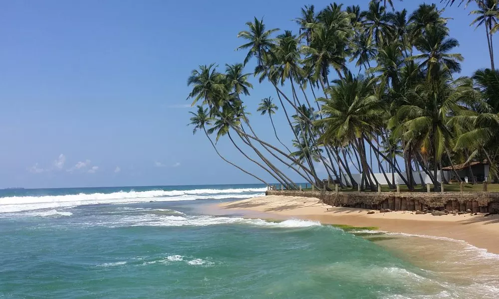 The Beach Villa, фото 3