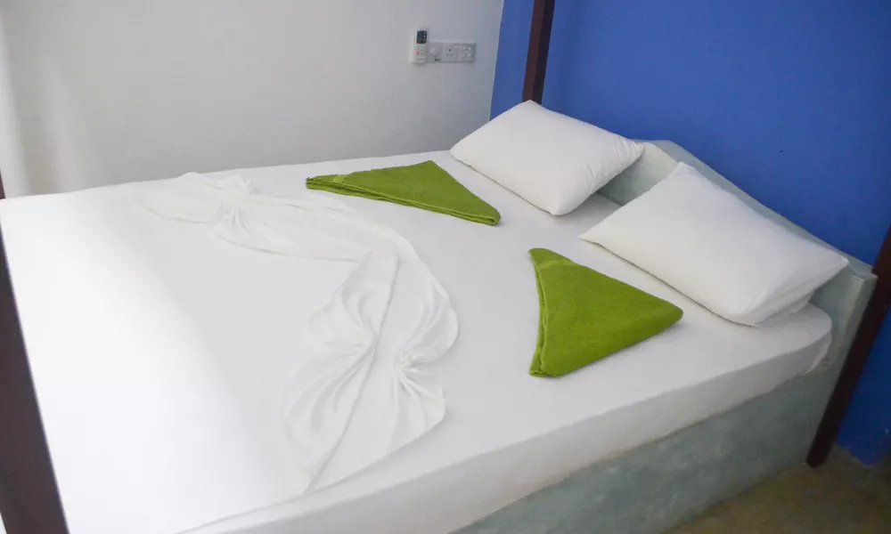 Hotel Meritha, фото 2