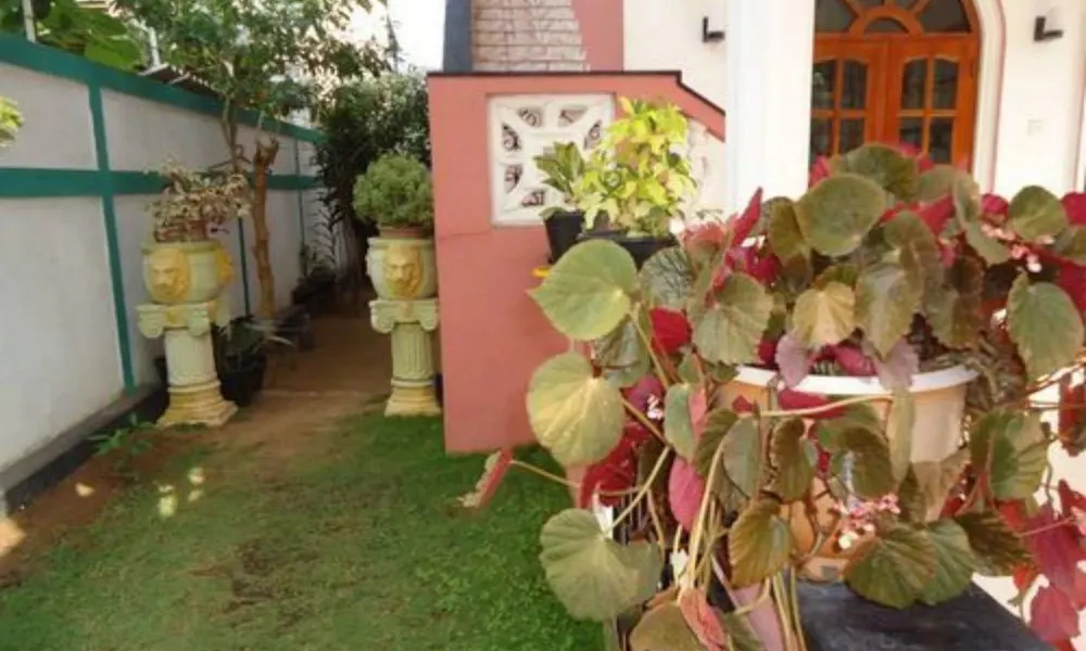 Cinnamon Holiday Village, фото 5