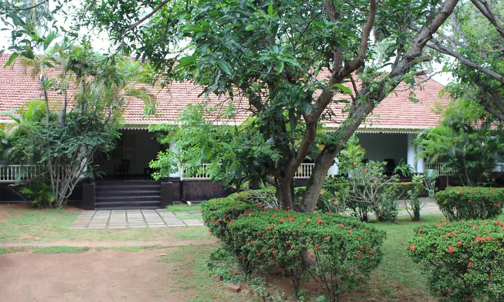 NO.53