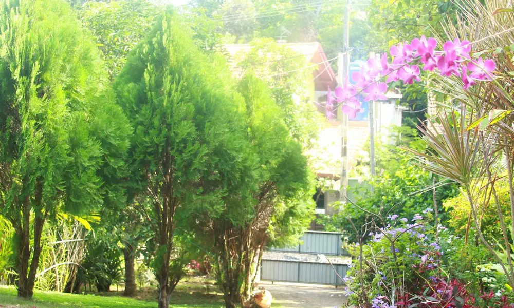 Hikkajasri Villa Peacock, фото 2