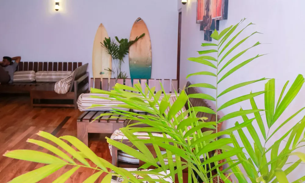 Cozy Sea View Inn, фото 3