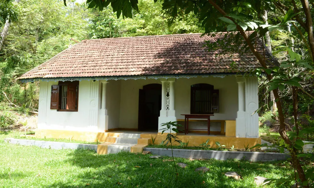 Jungle house