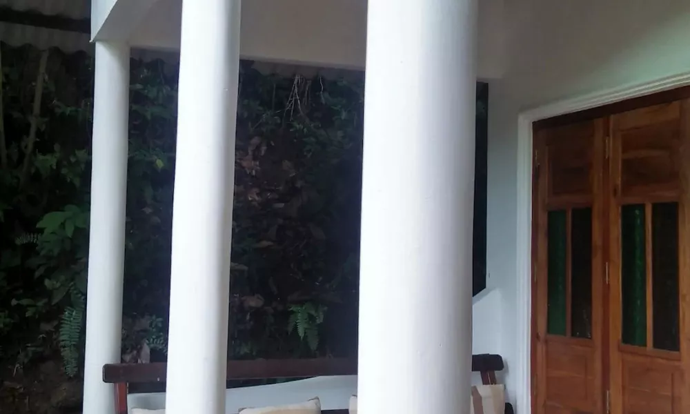 Jungle house, фото 4