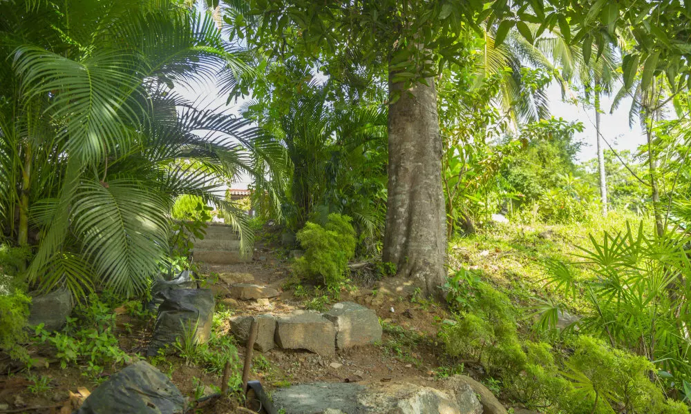Meadow Villa - Galle, фото 5