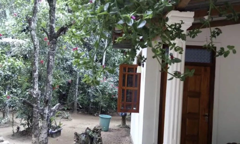 Yoho Nature Homestay, фото 5