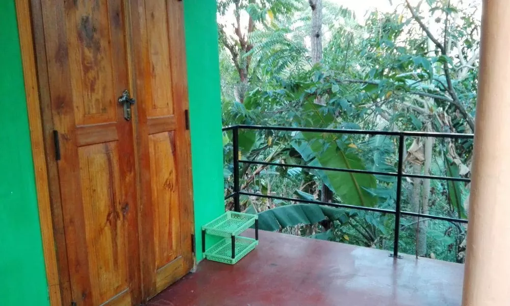New Green View, фото 4
