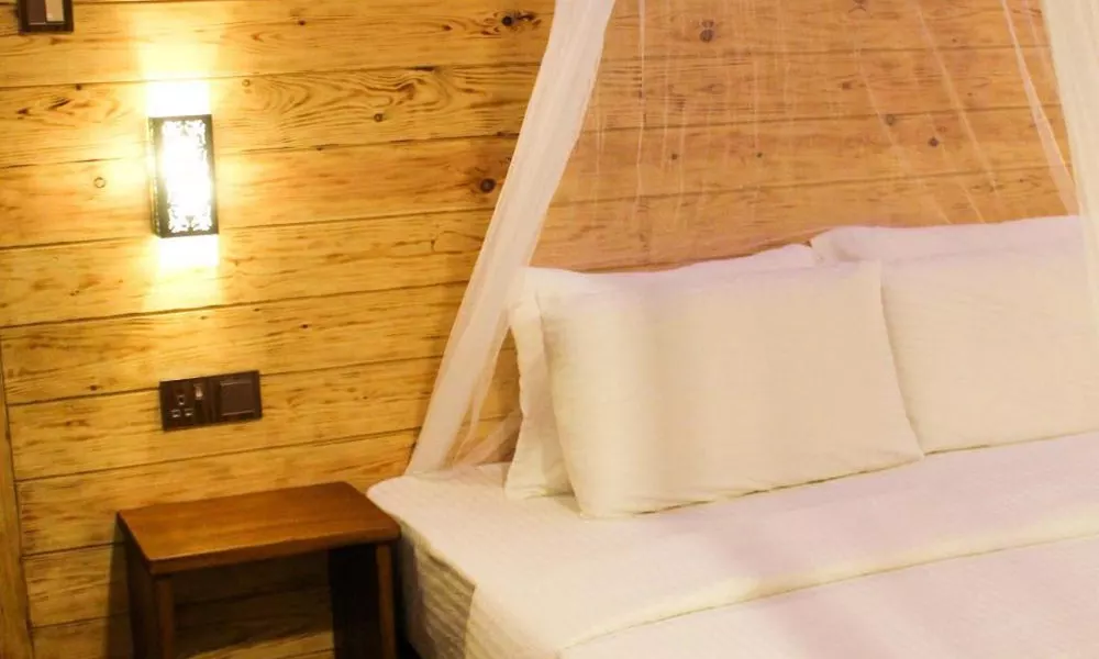 Lavender Homestay