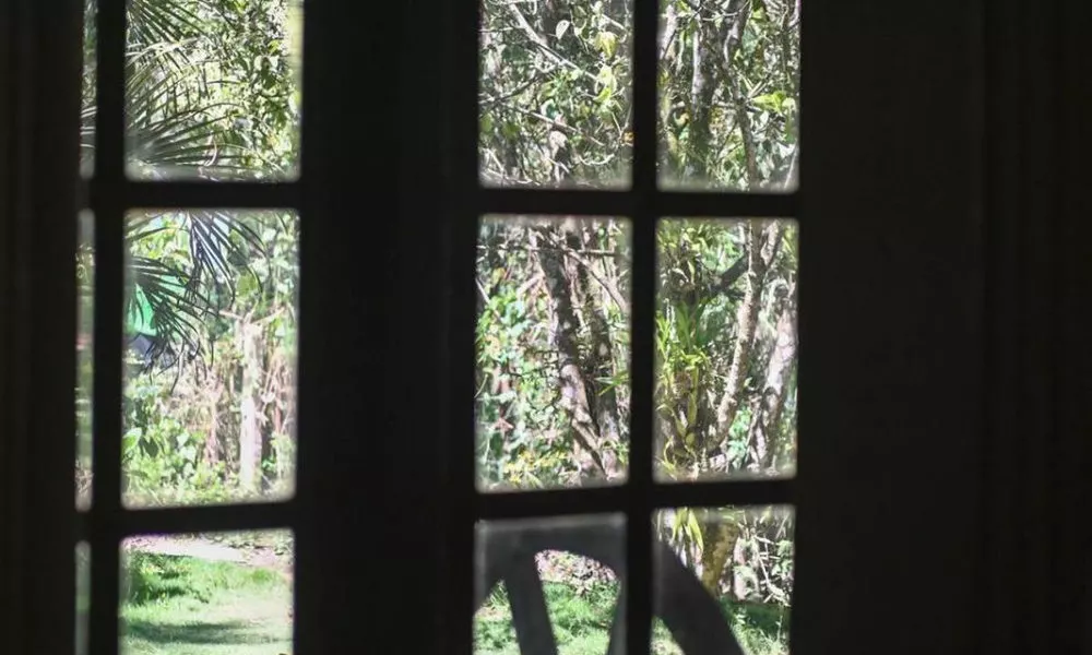 Lavender Homestay, фото 3