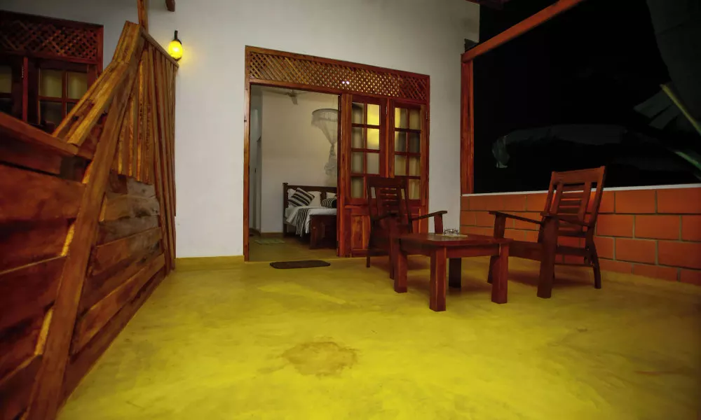Dinaro Guest, фото 4