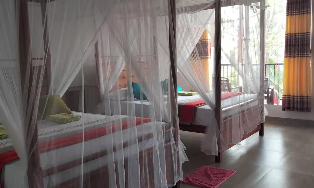 Pearl villa Ella, фото 2