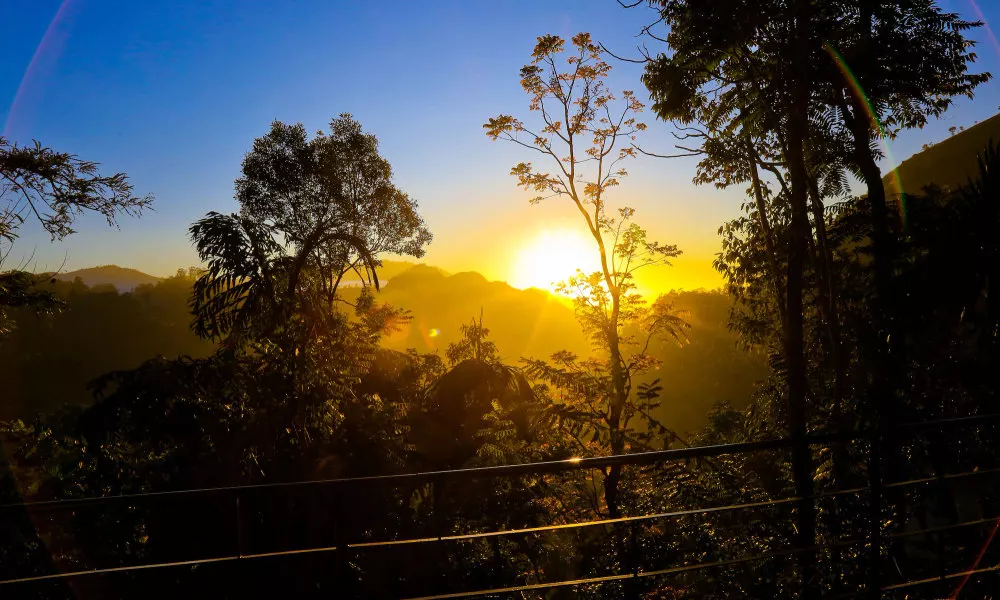 Ella Alpine Resort, фото 5