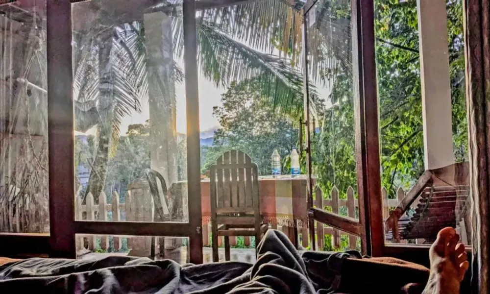 Farmers Paradise Ella