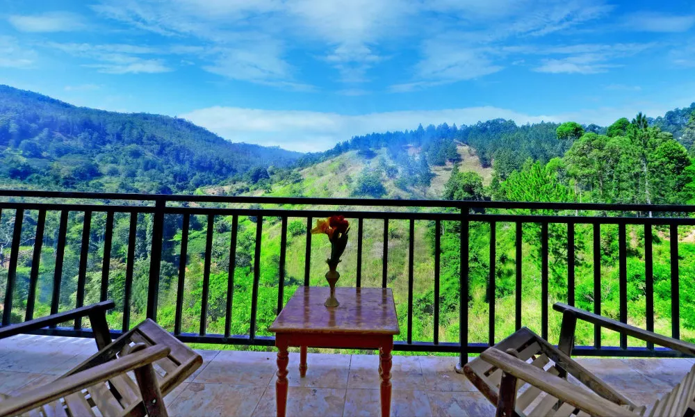 Ella Dream Catcher Resort, фото 3