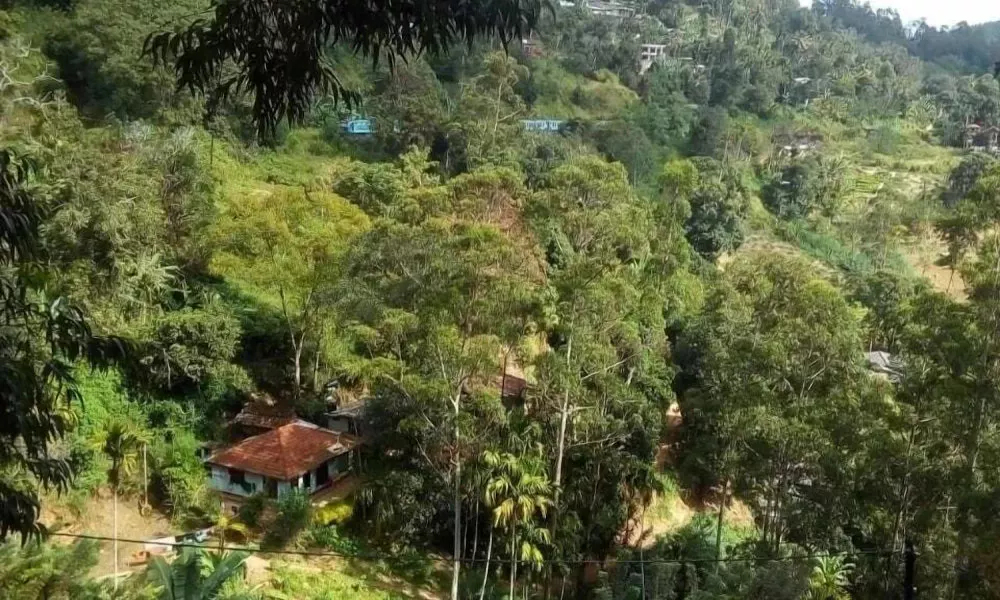 Madhara Home Stay Ella, фото 4