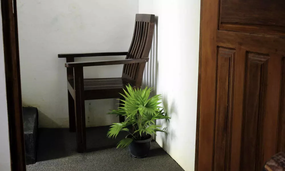 Eden Garden Way, фото 4