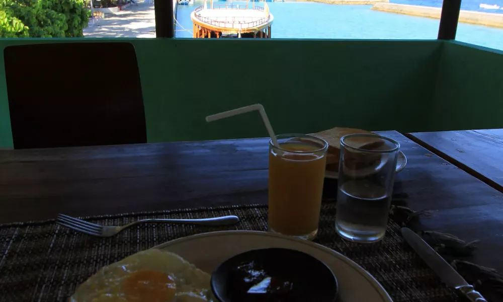 Local Island Inn, фото 3