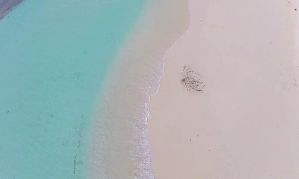 Beach Star Maldives, фото 4