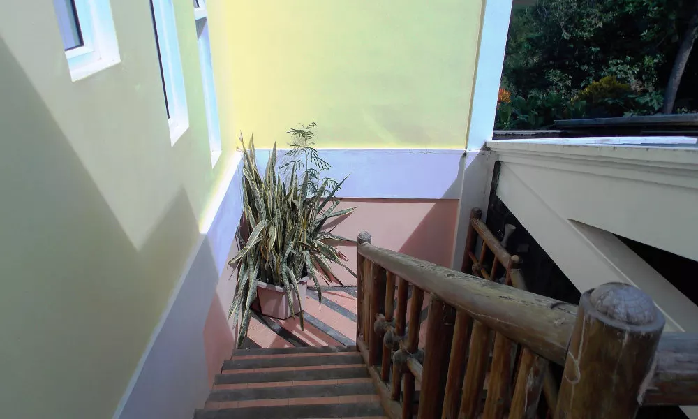 Chez Perle Guest House, фото 4