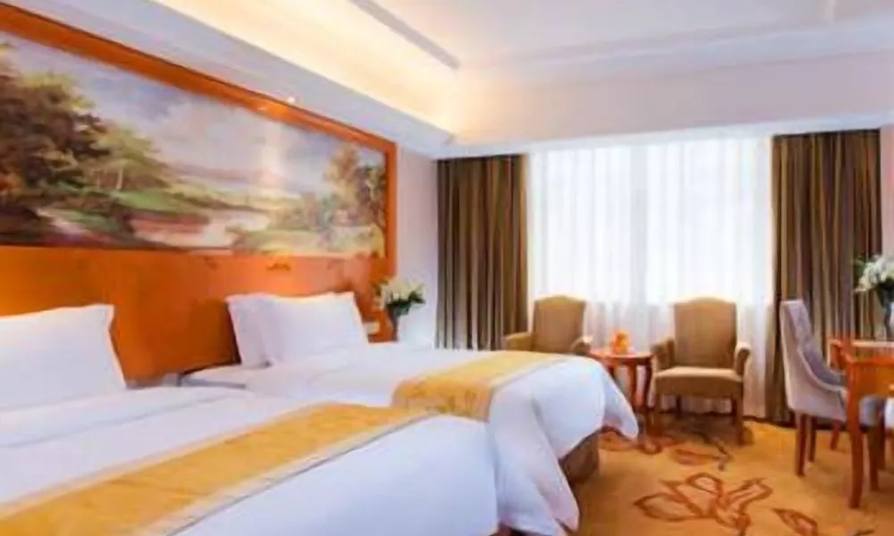 Vienna International Hotel, фото 4