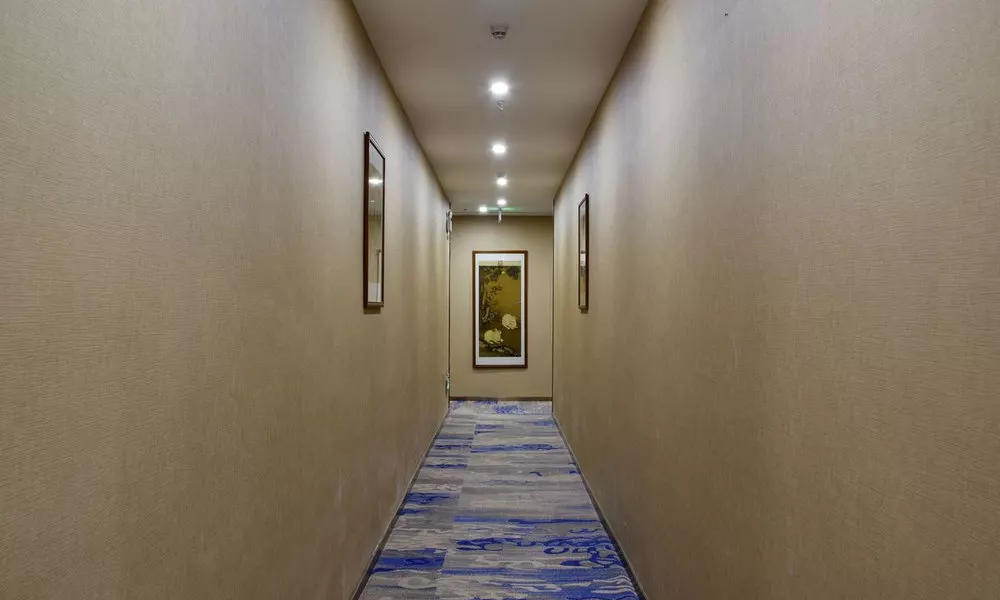 Bokadun Boutique Hotel Shenzhen, фото 3