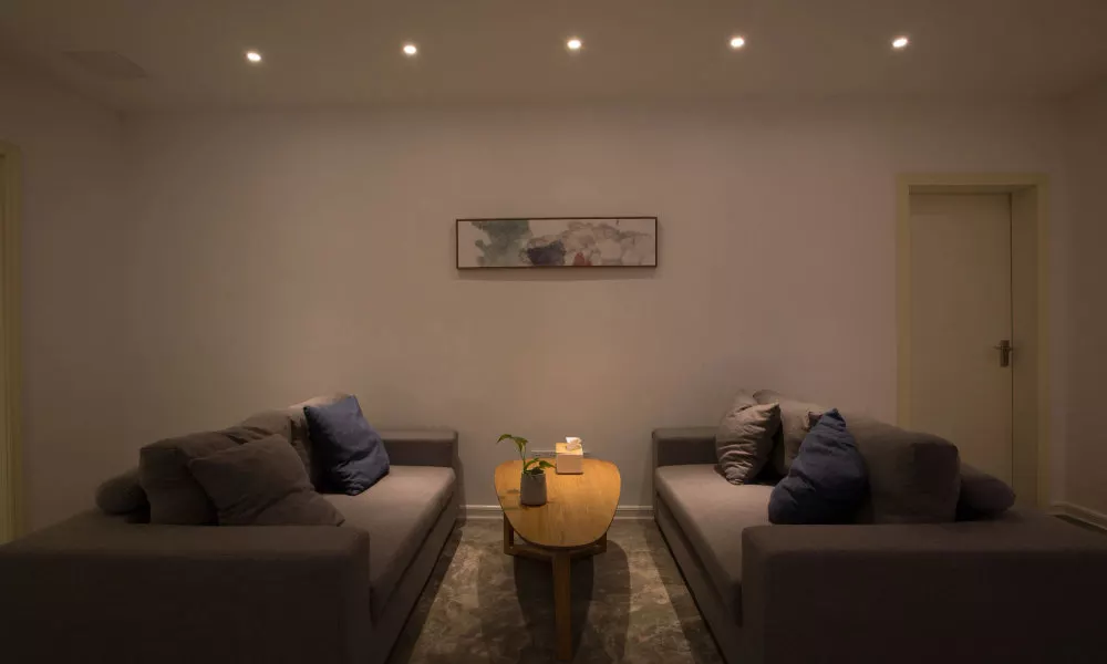 The Pure Site, фото 2