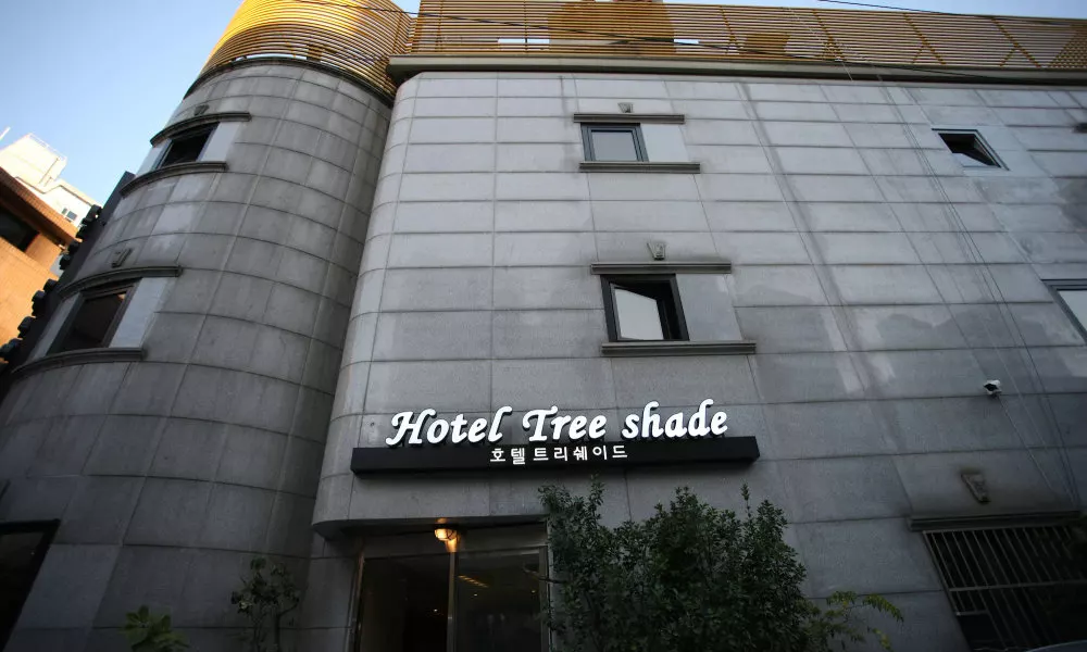 Hotel TreeShade Dongdaemun, фото 3