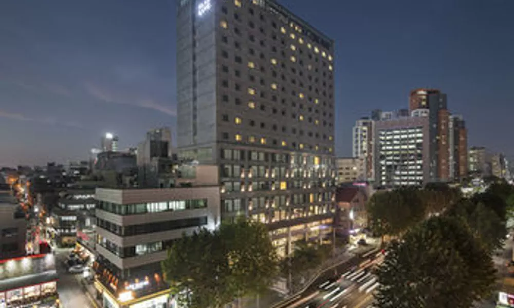 Glad Live Gangnam, фото 3