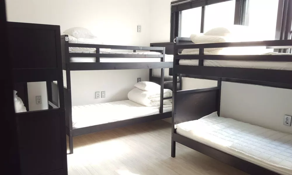 Amazon Guesthouse - Hostel