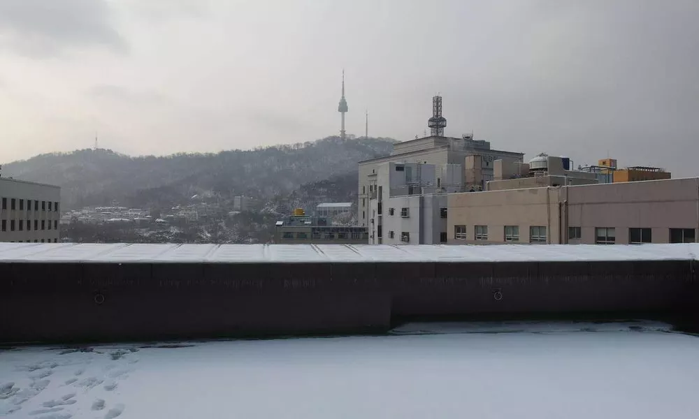 Seoul Road Myeongdong Guest House, фото 3