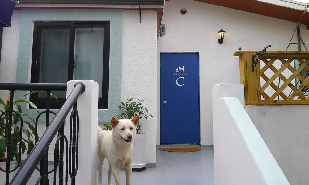 Oh My Guesthouse
