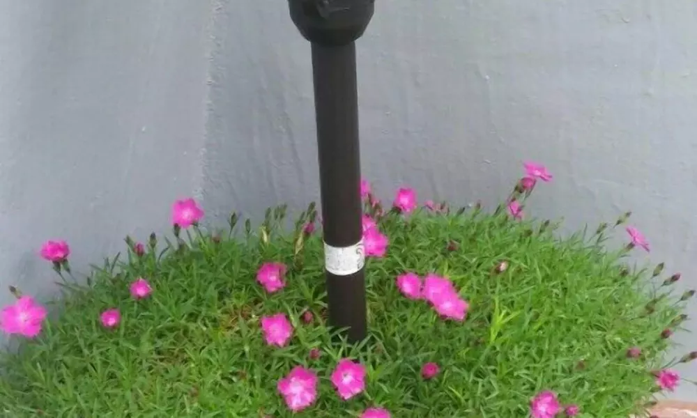 Riverside Guest House, фото 4