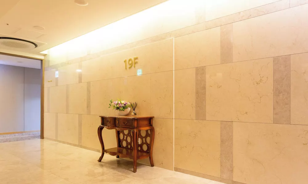 THE RECENZ Dongdaemun Hotel, фото 5
