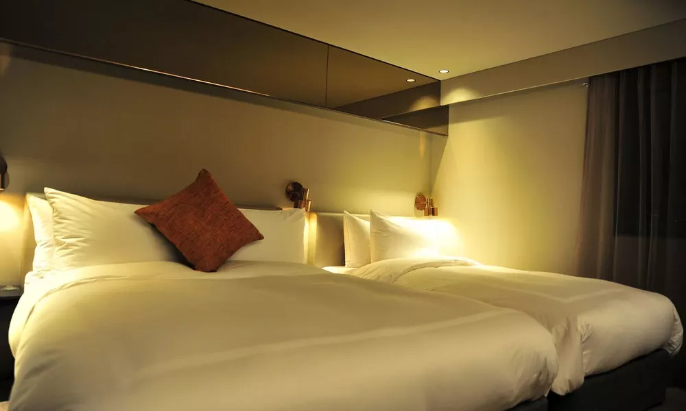 Hotel Dominique, фото 3