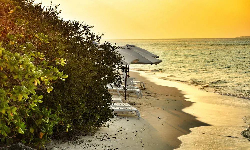 Dhiffushi White Sand Beach Hotel, фото 4