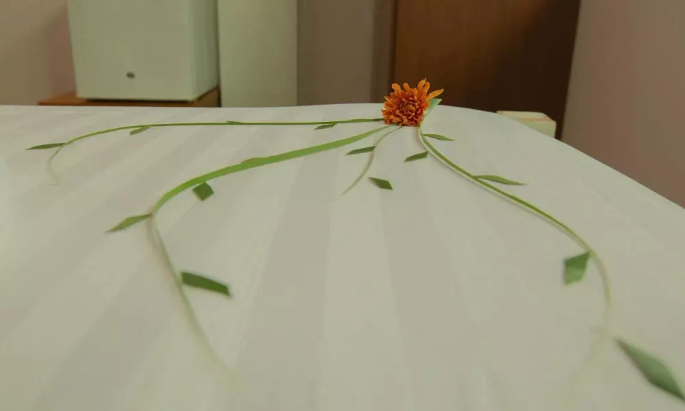 Dhaan Retreat, фото 5