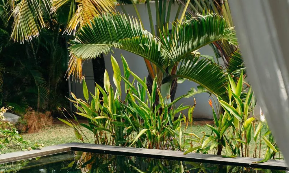 Koki Bonheur Beachfront Villa By StayMauritius