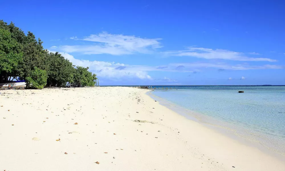 Tropic Tree Hotel Maldives, фото 4