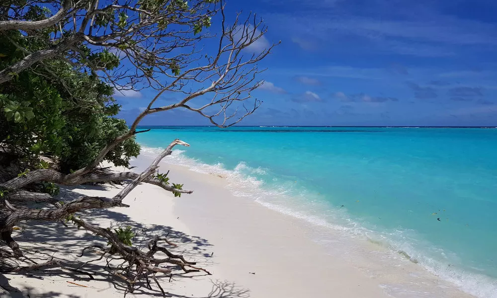 Coco Villa, фото 4