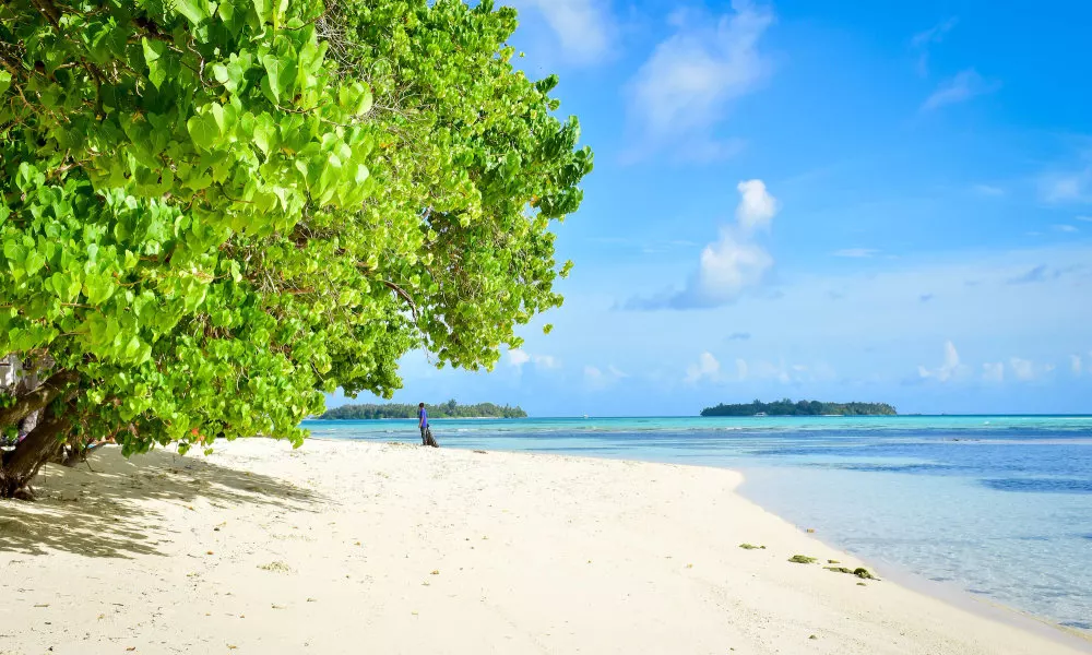 Medhufaru Inn, фото 5