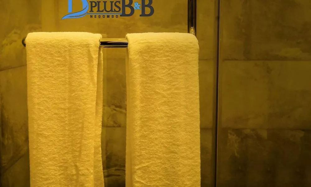 D Plus B&B Negombo, фото 5
