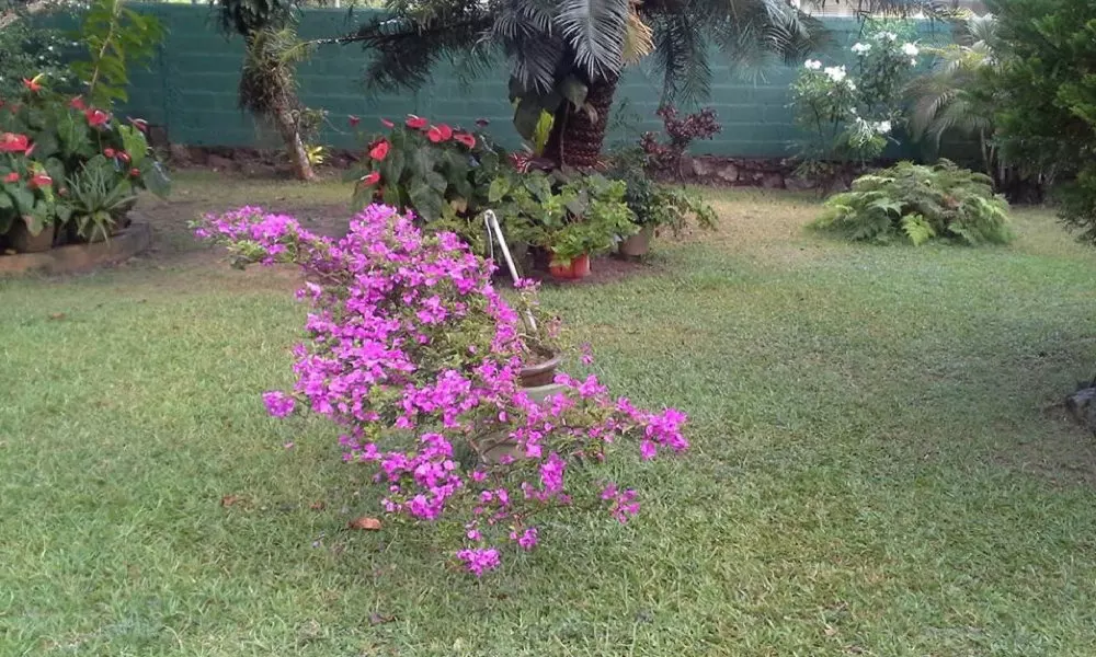 Mama's Villa by Taprobane - Hostel
