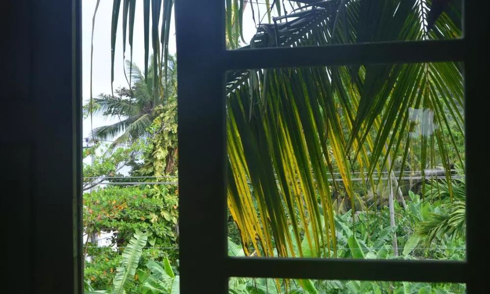 Casa Maria, фото 4