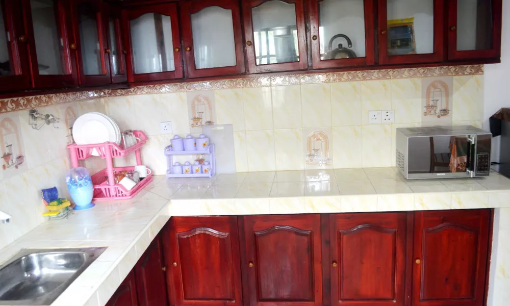 Shyni Tourist Guesthouse, фото 4