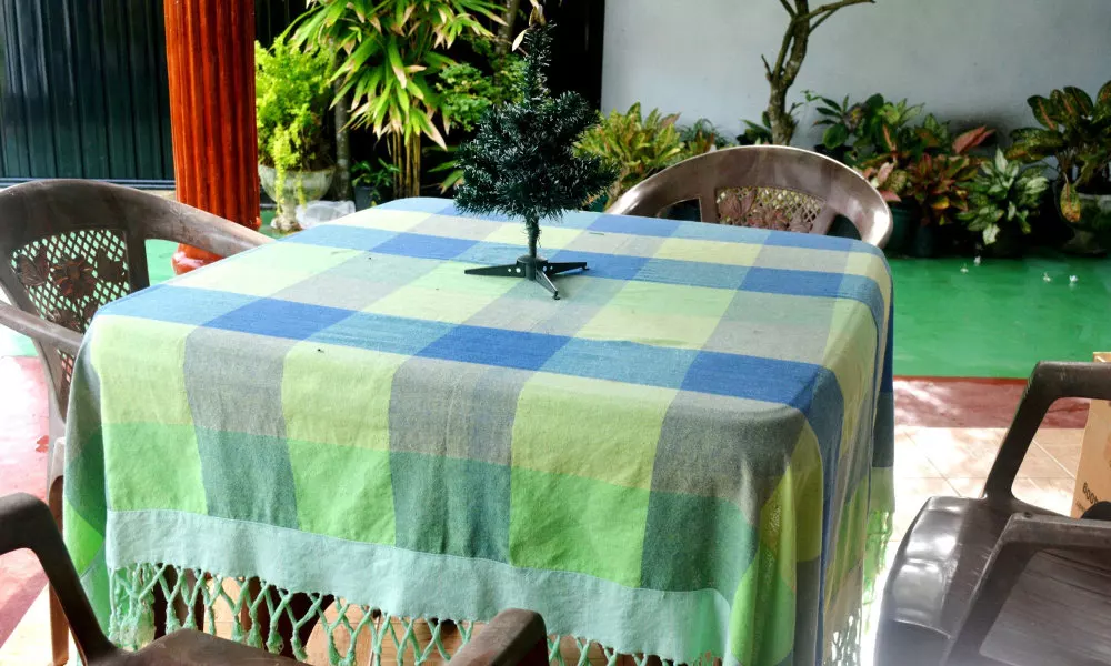 Shyni Tourist Guesthouse, фото 5