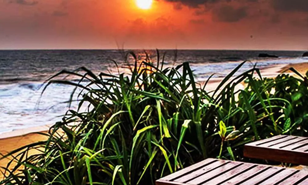 Randiya Beach Villa, фото 4