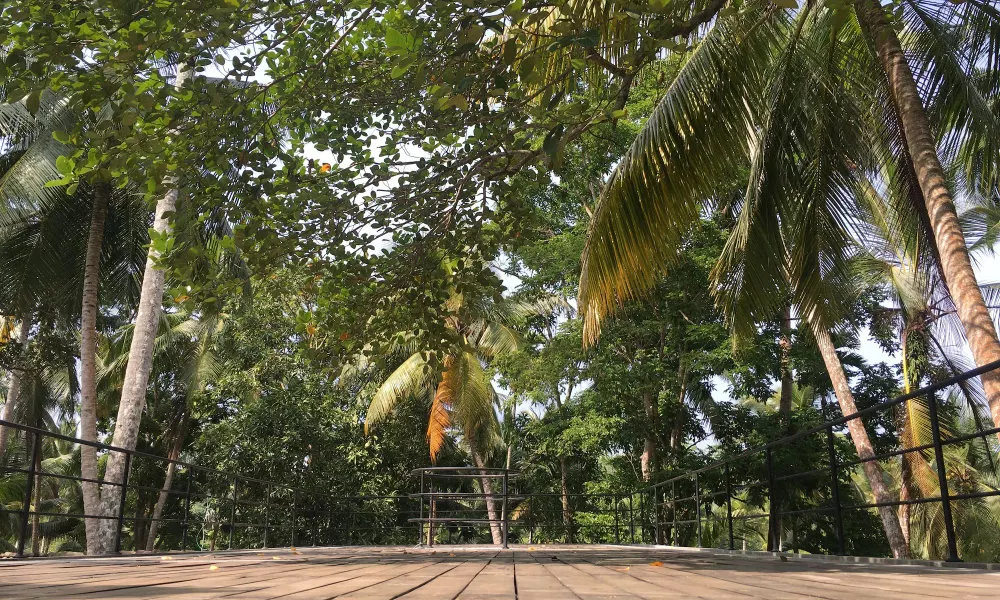 KAJU GREEN eco lodges, фото 2