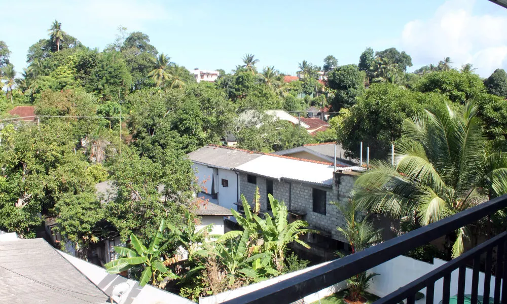 Elliot Nature Resort, фото 3