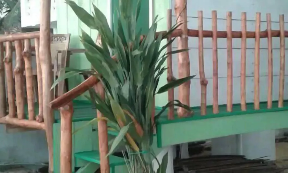 Luna Beach Home & Cabanas - Hostel, фото 4