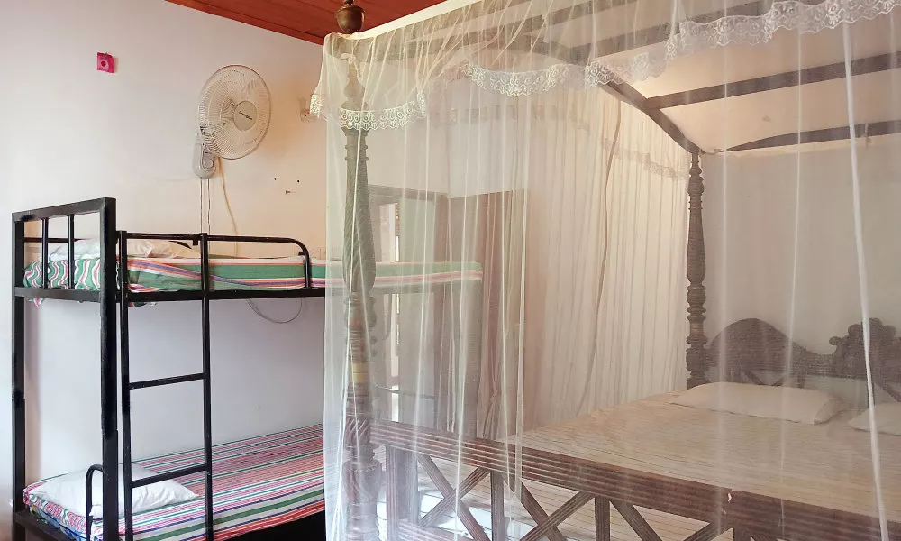 Green herbal Ayurvedic Eco-Lodge